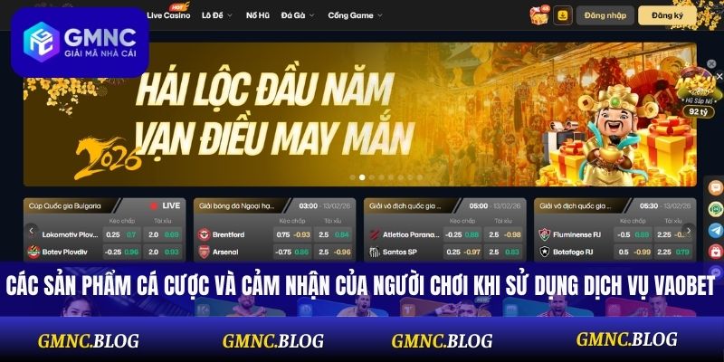 Các sản phẩm cá cược và cảm nhận của người chơi khi sử dụng dịch vụ Vaobet